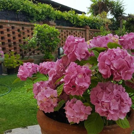 קאסטיגליונה דל לאגו Bellavista La Tua Romantica Vacanza Sul Trasimeno מראה חיצוני תמונה
