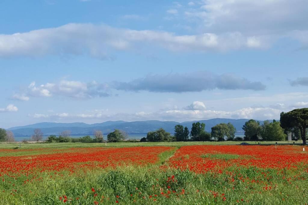 דירות קאסטיגליונה דל לאגו Bellavista La Tua Romantica Vacanza Sul Trasimeno מראה חיצוני תמונה