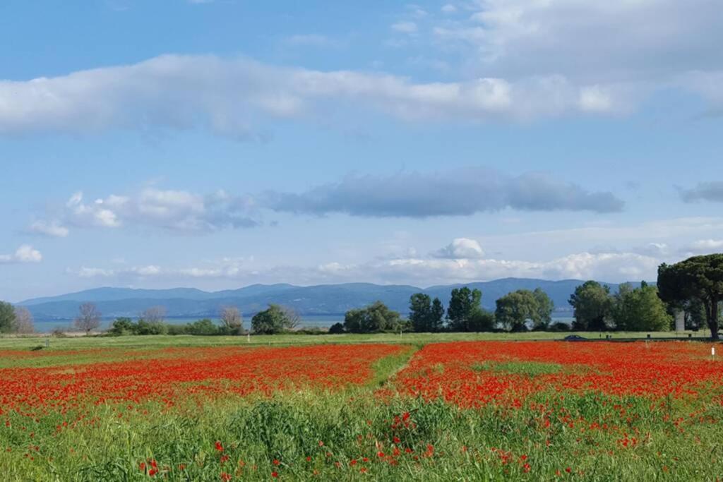 קאסטיגליונה דל לאגו Bellavista La Tua Romantica Vacanza Sul Trasimeno מראה חיצוני תמונה