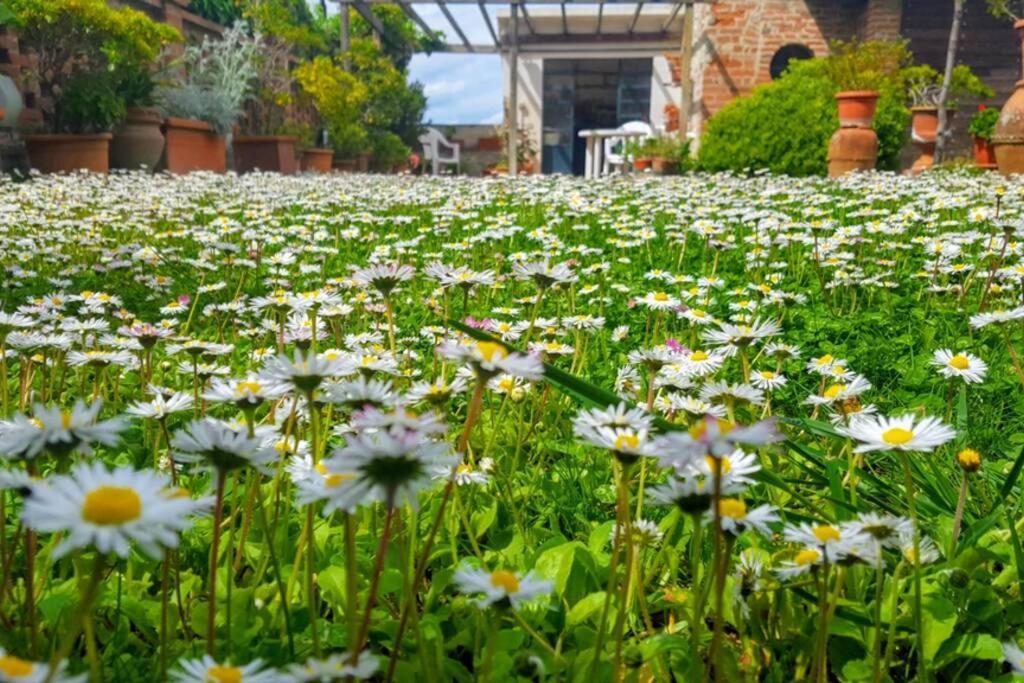 קאסטיגליונה דל לאגו Bellavista La Tua Romantica Vacanza Sul Trasimeno מראה חיצוני תמונה