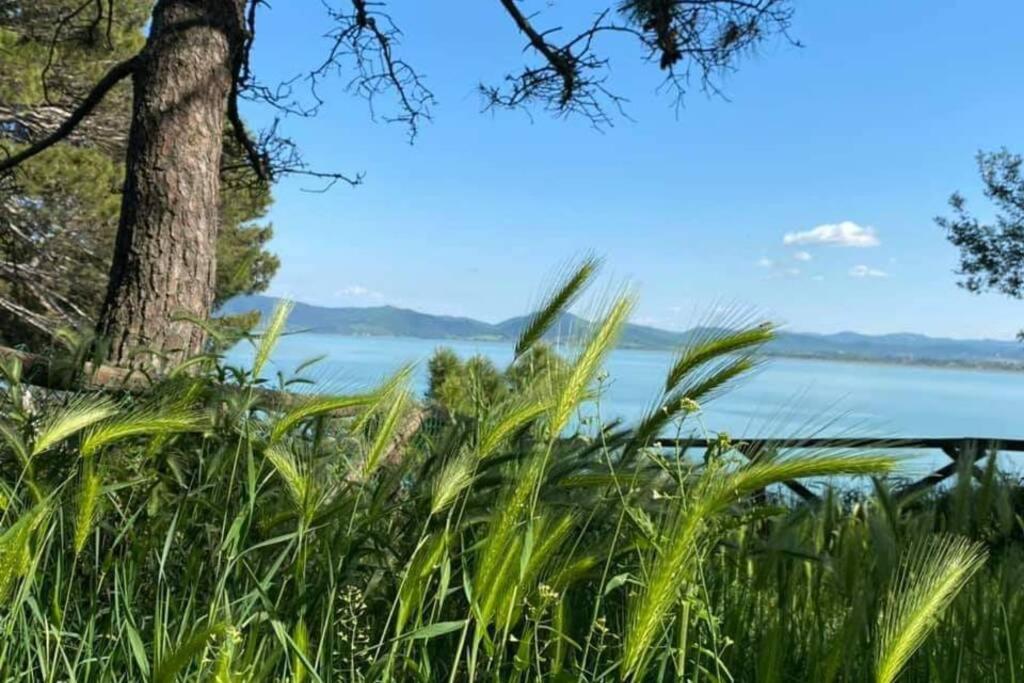 קאסטיגליונה דל לאגו Bellavista La Tua Romantica Vacanza Sul Trasimeno מראה חיצוני תמונה
