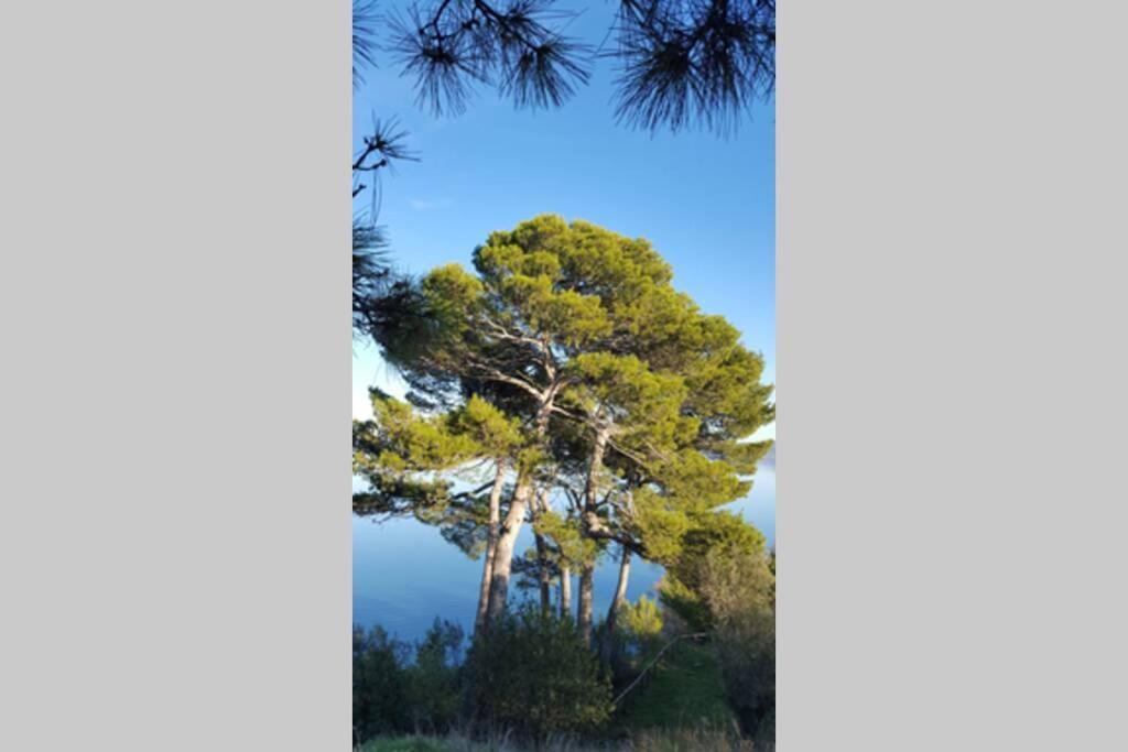 קאסטיגליונה דל לאגו Bellavista La Tua Romantica Vacanza Sul Trasimeno מראה חיצוני תמונה