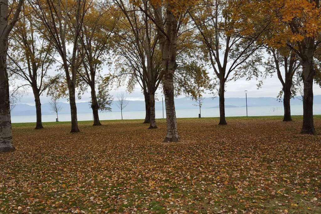 קאסטיגליונה דל לאגו Bellavista La Tua Romantica Vacanza Sul Trasimeno מראה חיצוני תמונה