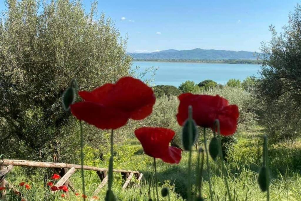 דירות קאסטיגליונה דל לאגו Bellavista La Tua Romantica Vacanza Sul Trasimeno מראה חיצוני תמונה