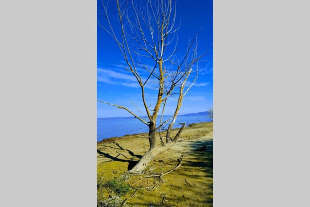 קאסטיגליונה דל לאגו Bellavista La Tua Romantica Vacanza Sul Trasimeno מראה חיצוני תמונה