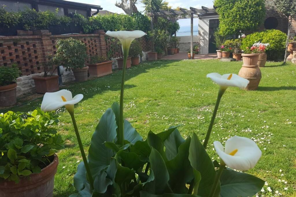 קאסטיגליונה דל לאגו Bellavista La Tua Romantica Vacanza Sul Trasimeno מראה חיצוני תמונה